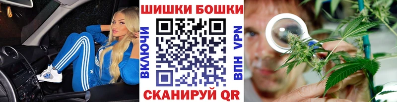 Купить  Краснообск  Канабис сатива 